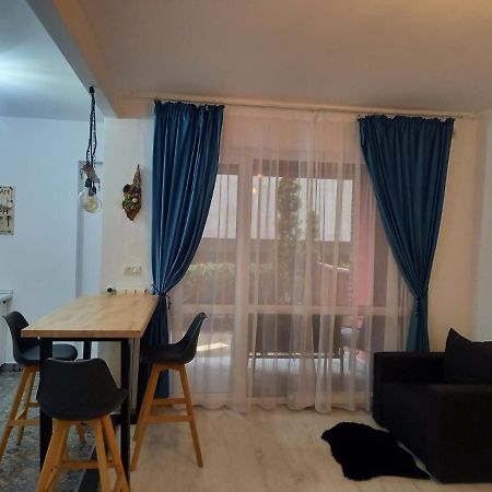 Belleview North Studio Lejlighed Sinaia Eksteriør billede