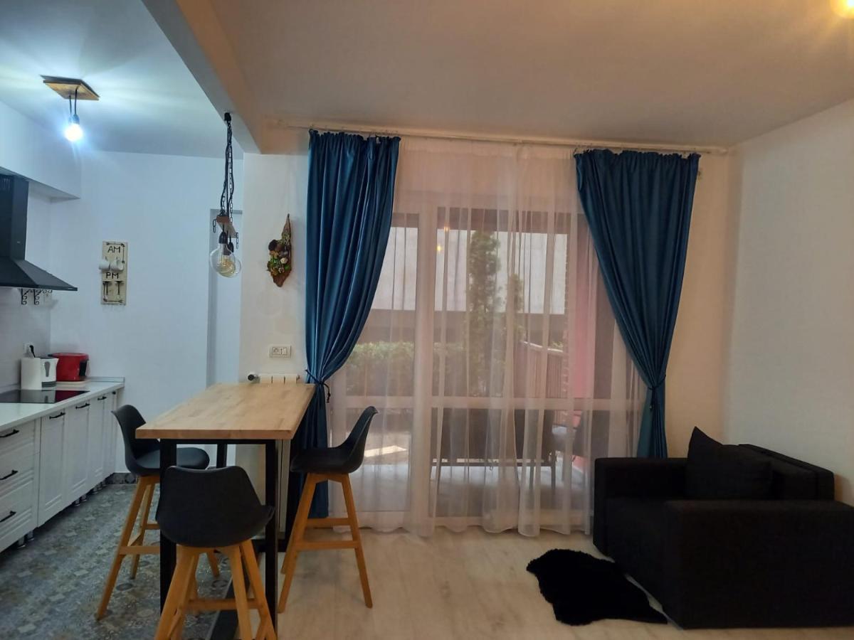 Belleview North Studio Lejlighed Sinaia Eksteriør billede